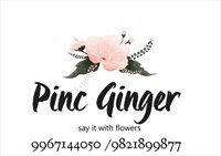 PINC GINGER
